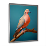 Coral Companion Dove - Coral Dove Wall Art
