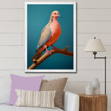 Coral Companion Dove - Coral Dove Wall Art