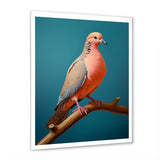 Coral Companion Dove - Coral Dove Wall Art