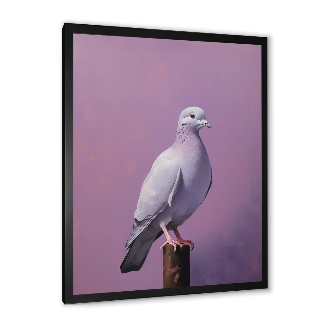 Polished Dove - Dove Wall Art Prints