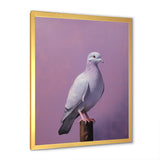 Polished Dove - Dove Wall Art Prints