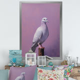 Polished Dove - Dove Wall Art Prints