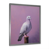 Polished Dove - Dove Wall Art Prints