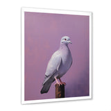 Polished Dove - Dove Wall Art Prints