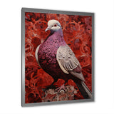 Messenger Dove - Coral Dove Wall Art