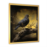 Onyx S Mystical Offering - Dove Framed Canvas Art
