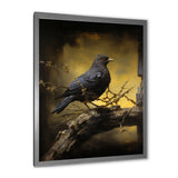 Onyx S Mystical Offering - Dove Framed Canvas Art