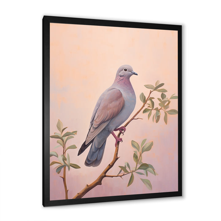 Dove S Soothing Presence - Dove Canvas Wall Art