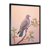 Dove S Soothing Presence - Dove Canvas Wall Art