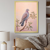 Dove S Soothing Presence - Dove Canvas Wall Art