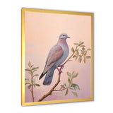Dove S Soothing Presence - Dove Canvas Wall Art