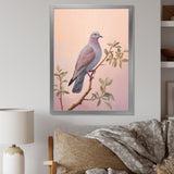 Dove S Soothing Presence - Dove Canvas Wall Art