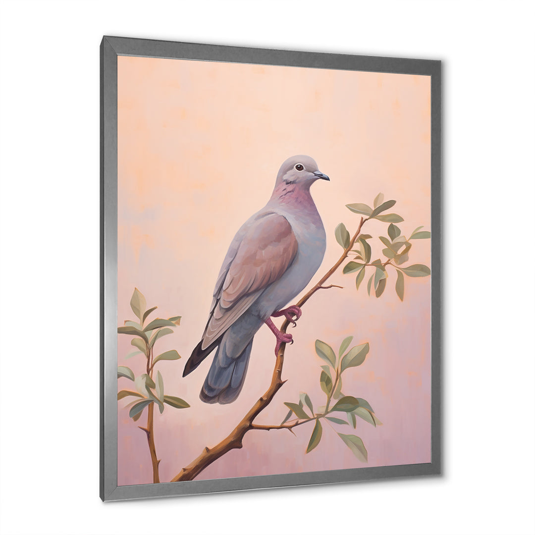Dove S Soothing Presence - Dove Canvas Wall Art