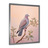 Dove S Soothing Presence - Dove Canvas Wall Art