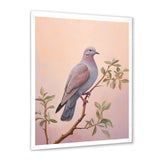 Dove S Soothing Presence - Dove Canvas Wall Art