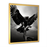 Powerful Bold Eagle - Eagle Canvas Wall Art