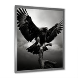 Powerful Bold Eagle - Eagle Canvas Wall Art