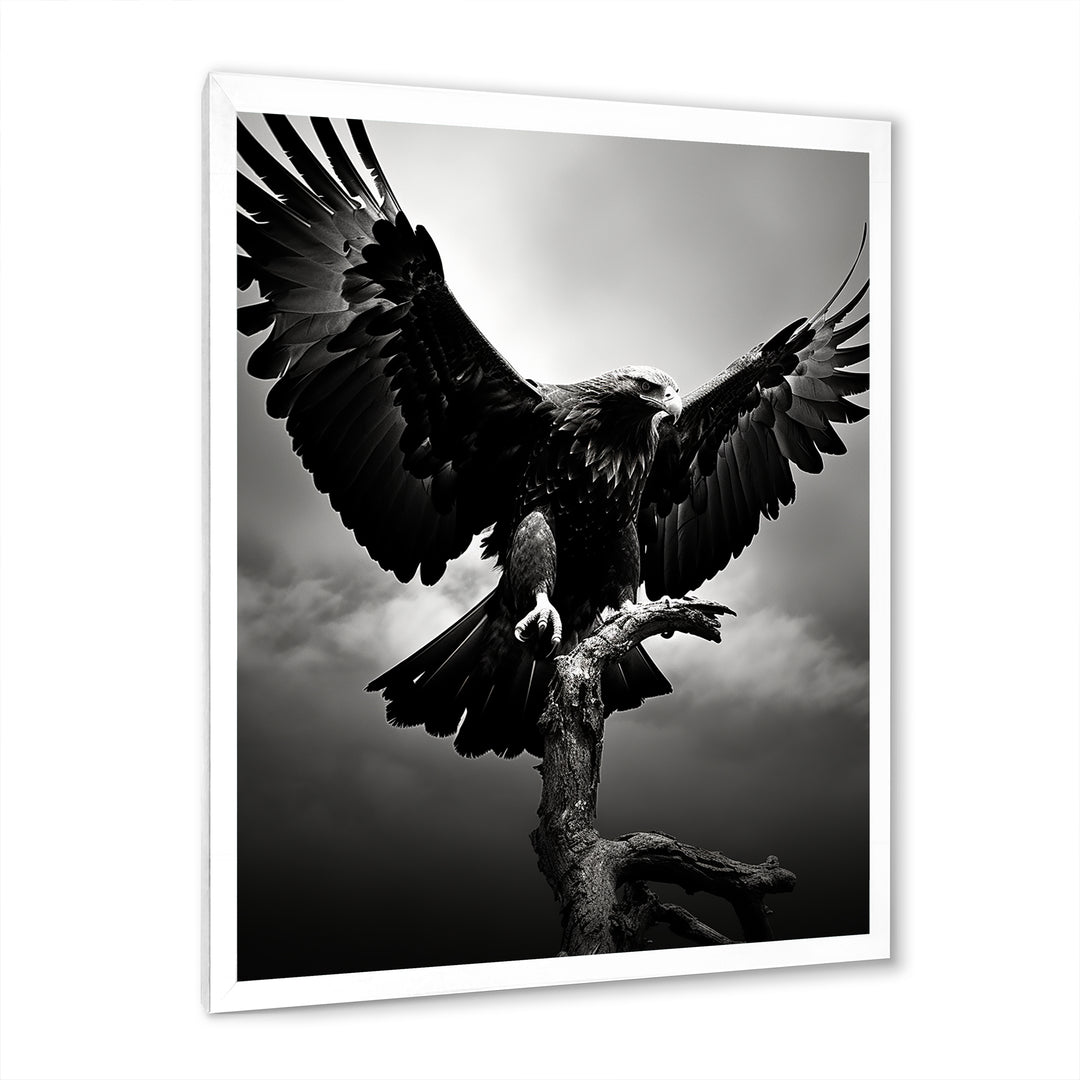 Powerful Bold Eagle - Eagle Canvas Wall Art