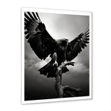 Powerful Bold Eagle - Eagle Canvas Wall Art