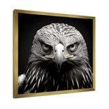 Bold Eagle Power Hunter - Eagle Framed Canvas Art