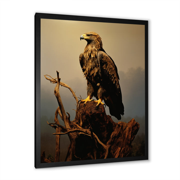Eagle S Grace At Top - Eagle Canvas Wall Art