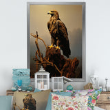 Eagle S Grace At Top - Eagle Canvas Wall Art