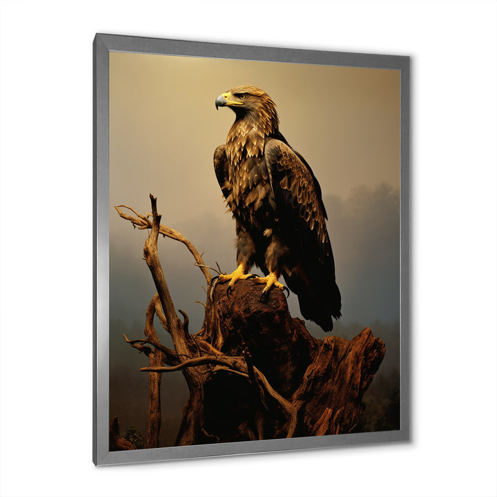 Eagle S Grace At Top - Eagle Canvas Wall Art