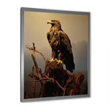 Eagle S Grace At Top - Eagle Canvas Wall Art