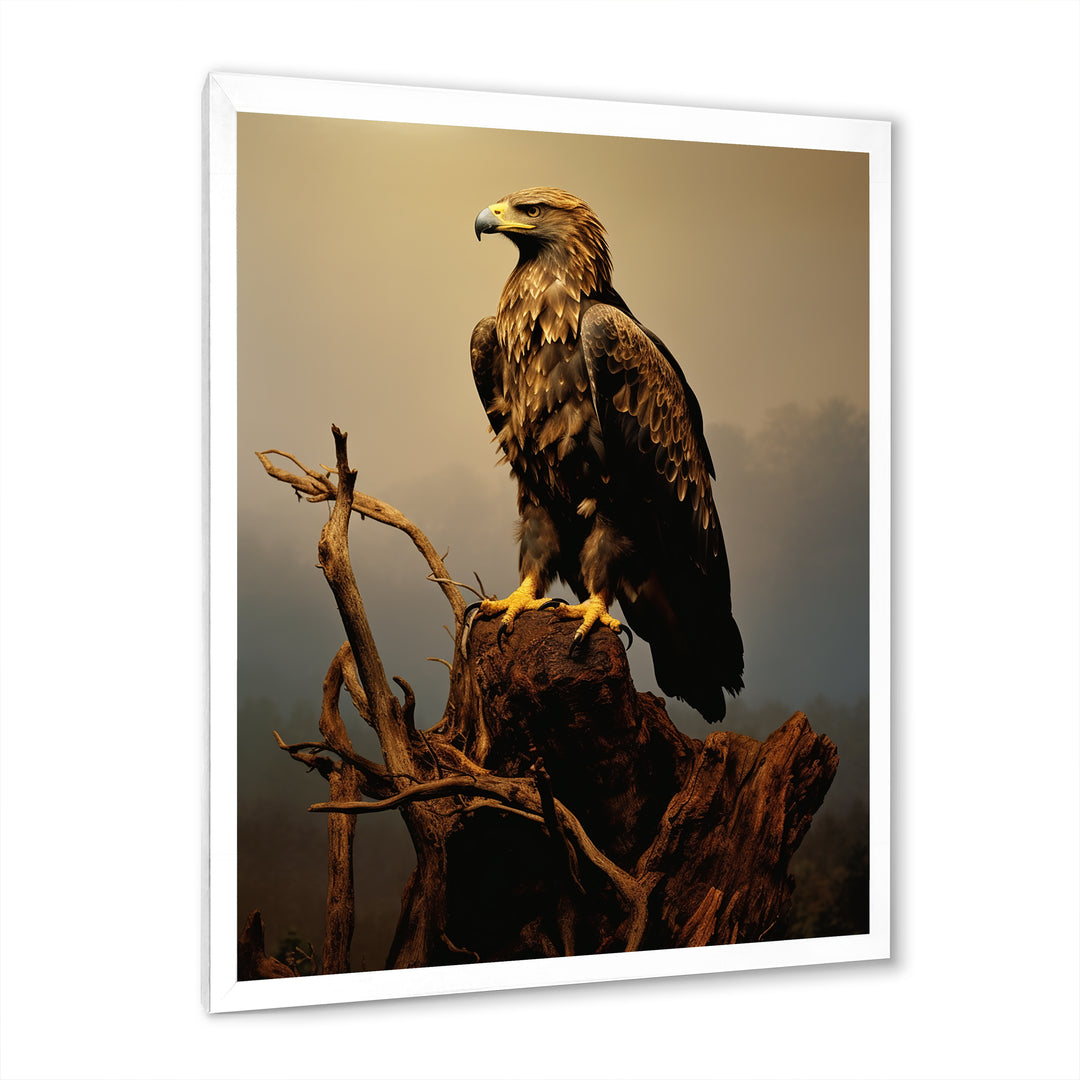 Eagle S Grace At Top - Eagle Canvas Wall Art
