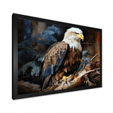 Eagle S Grace At Branch Domain - Eagle Wall Decor