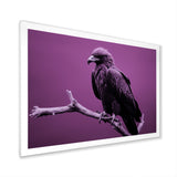 Purple Eagle S Grace At Branch Domain - Eagle Wall Decor