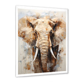 Tusked Elephant Portrait - Elephant Wall Art Prints