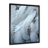 Light As A Feather - Feathers Canvas Wall Art
