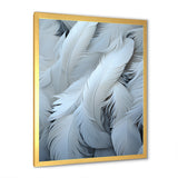 Light As A Feather - Feathers Canvas Wall Art