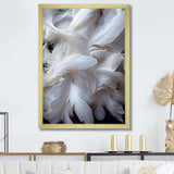 Light As A Feather I - Animals Canvas Wall Art