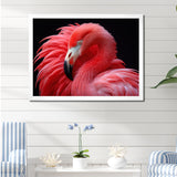 Blushing Red Flamingos - Flamingo Bedroom Wall Art