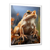 Classic Frog Portrait - Frog Wall Art Prints