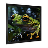 Expressionist Frog Movement - Frog Canvas Wall Art
