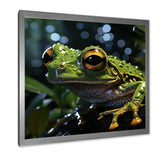 Expressionist Frog Movement - Frog Canvas Wall Art