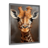 Selfie Giraffe In Sepia Tone - Giraffe Wall Art Prints