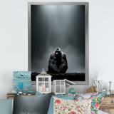 Gorilla Solitude Photography - Gorilla Wall Art Prints