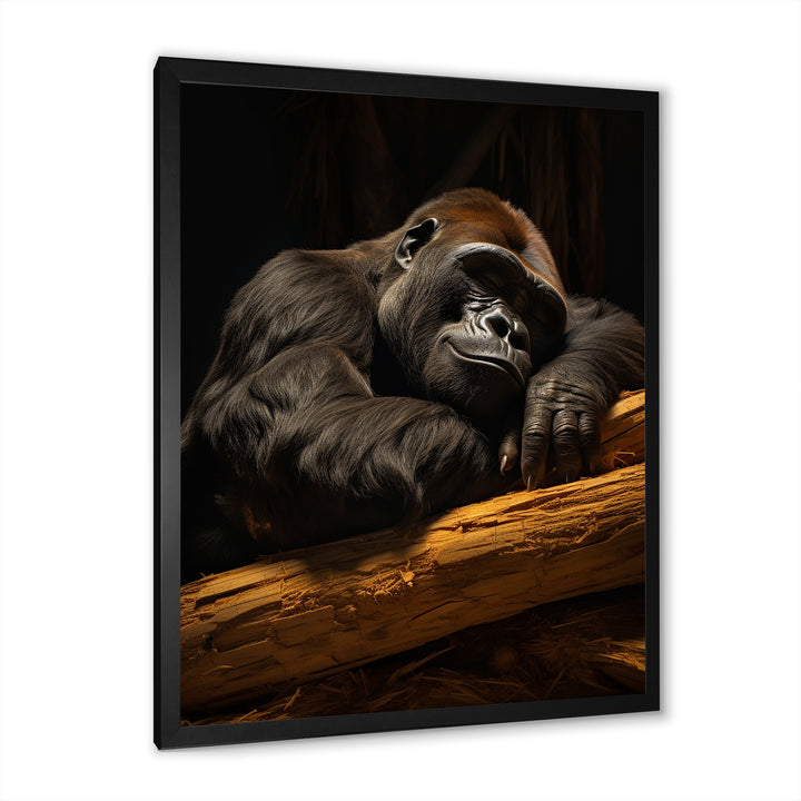 Gorillas Siesta - Gorilla Living Room Wall Art