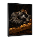 Gorillas Siesta - Gorilla Living Room Wall Art