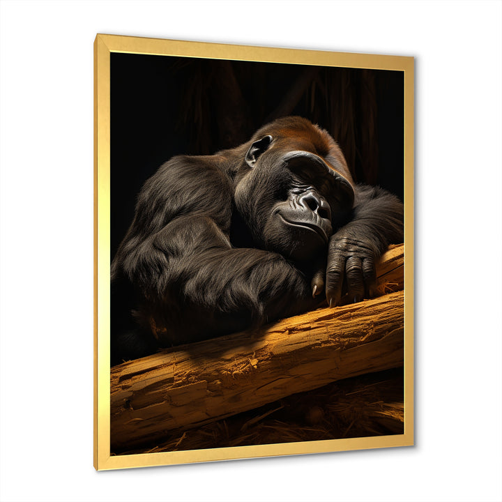Gorillas Siesta - Gorilla Living Room Wall Art