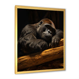 Gorillas Siesta - Gorilla Living Room Wall Art