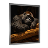 Gorillas Siesta - Gorilla Living Room Wall Art