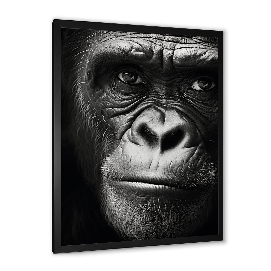 The Gorilla Matriarch - Gorilla Wall Decor