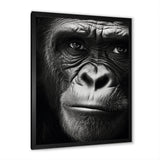 The Gorilla Matriarch - Gorilla Wall Decor