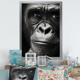 The Gorilla Matriarch - Gorilla Wall Decor