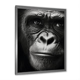 The Gorilla Matriarch - Gorilla Wall Decor